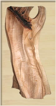 Mahulena, švestka, výška 35 cm